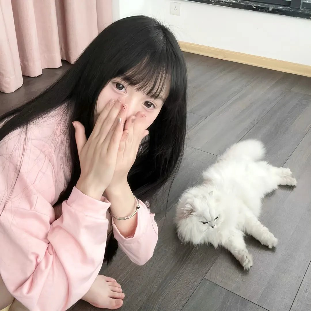 无爱理想国